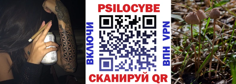 Галлюциногенные грибы GOLDEN TEACHER  hydra сайт  Киселёвск 